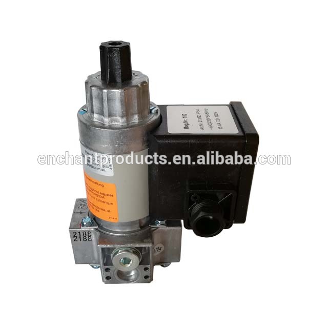 Dungs Gas Valve Lpg Injector